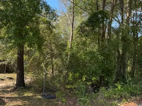 113 Arizona St, Huntington, TX 75949