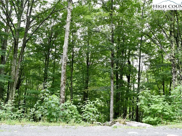 234 Wild Daisy Lane, Beech Mountain, NC 28604
