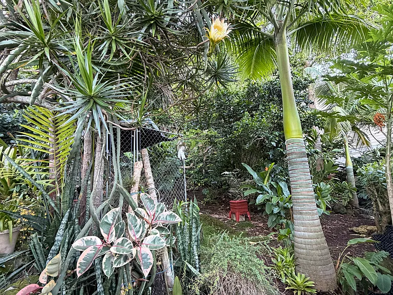 3233 Paty Dr — Photo 11