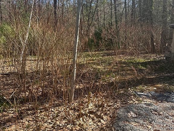 5th image of 0 Camp Rd