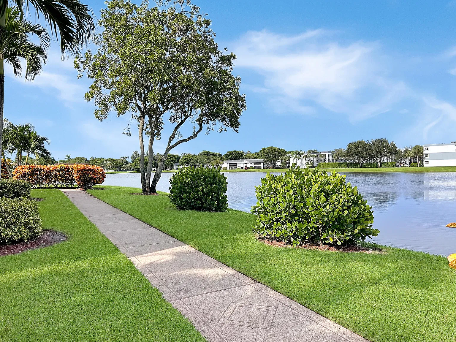 2 bed, 2.0 bath, 1100 sqft, $2,300 — Photo 3