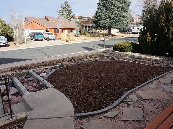 aezra scaped front yard