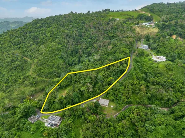 Bo Borinquen Sector Lajita Carr 765 Km #3.5, Caguas, PR 00725