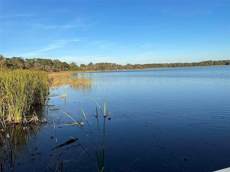 17708 Sawgrass Run — Photo 67