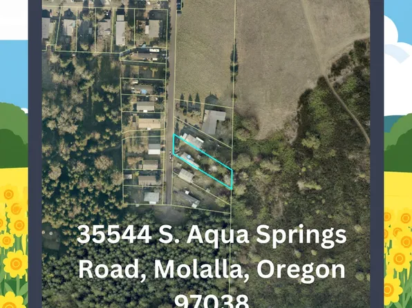 35544 S Aqua Springs Rd, Molalla, OR 97038