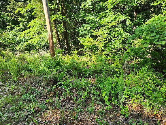 3rd image of L-9 Sherwood Forest Ln #B