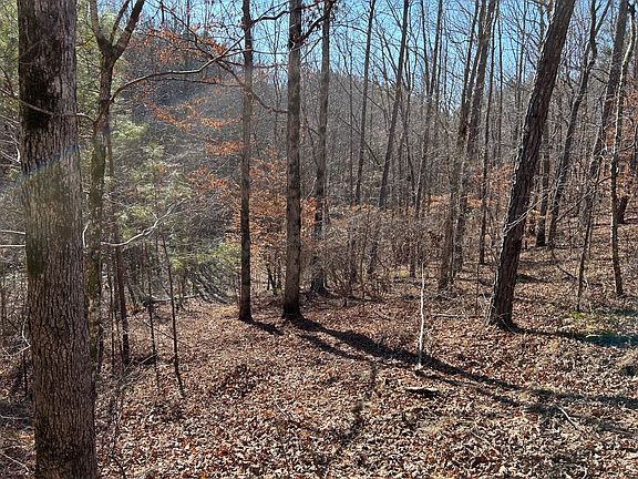 3rd image of County Road 325