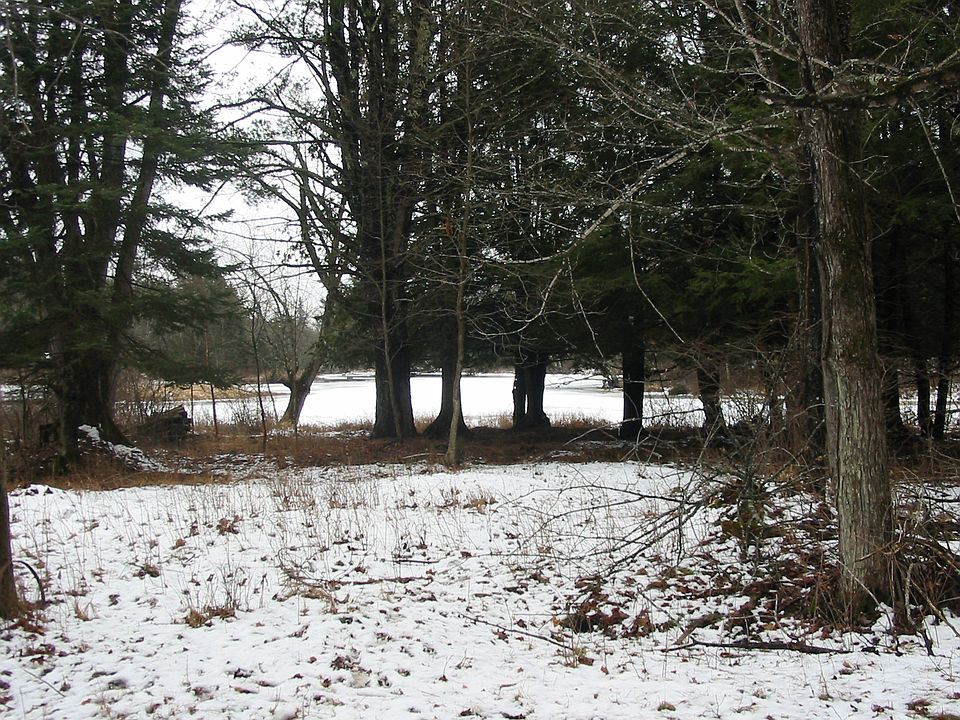 2nd image of 0 Private 4ac Lot On Chippewa River