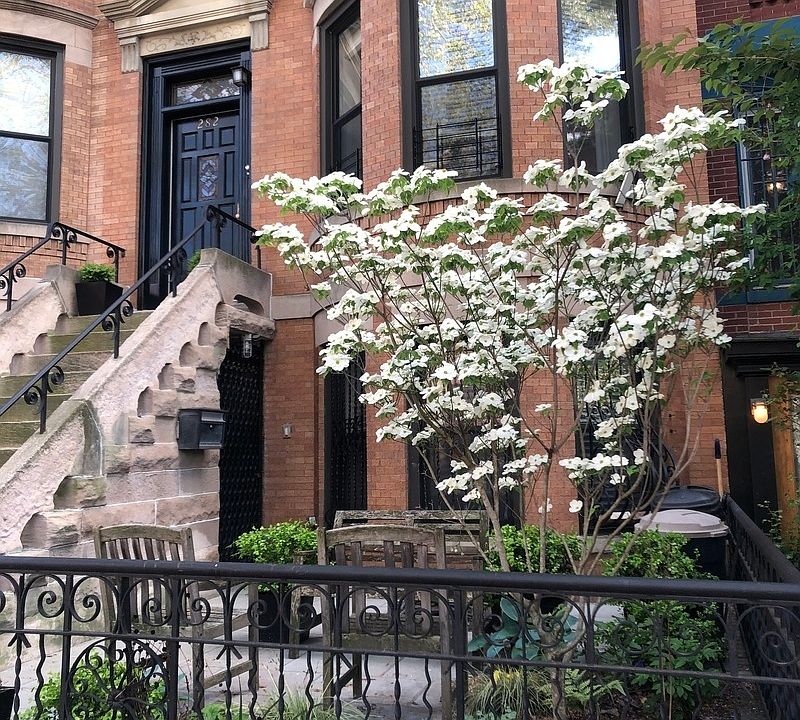1st image of 282 11th St #1