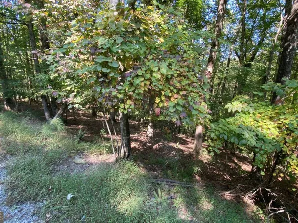 266 Myna Dr, Ellijay, GA 30540