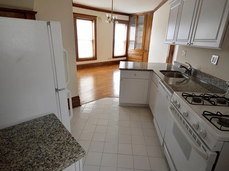 2329 N Halsted St #TOWNHOUSE — Photo 4