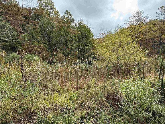4th image of Joes Run Rd