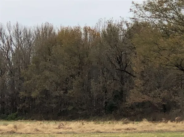 Farrow Rd, Bells, TN 38006