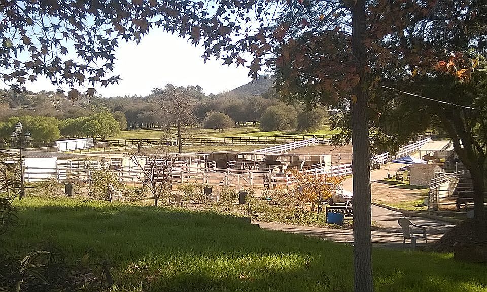 Front Yard View from House