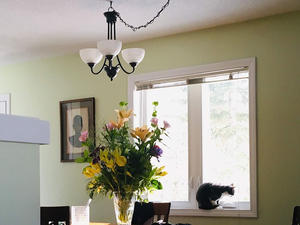 end unit with great sunshine