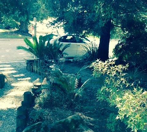 Front Yard