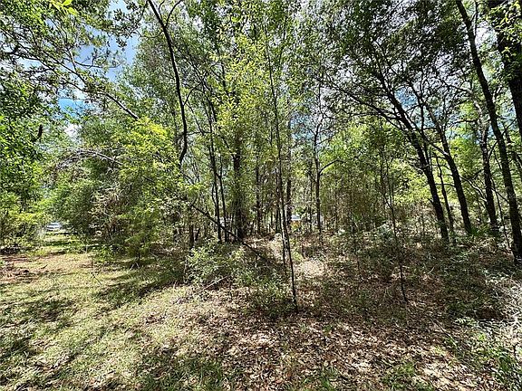 4th image of 13070 NE 78th Pl Lot 3