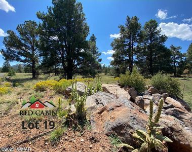 LOT 19 Red Cabin Rnch, Vernon, AZ, 85940