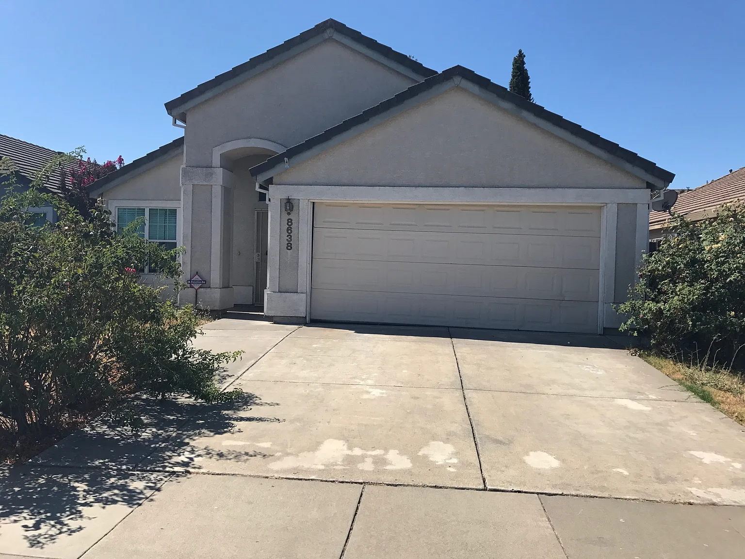 8638 Black Kite Dr photo 1