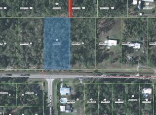 300 Georgetown Denver Rd, Georgetown, FL 32139