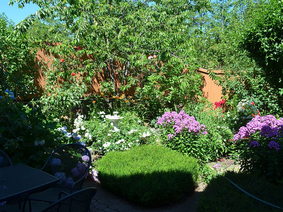 Backyard garden
