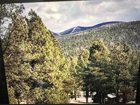 1066A Woodlands Dr, Angel Fire, NM 87710