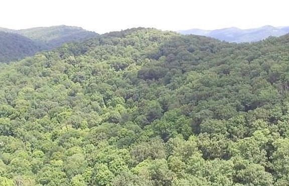 2nd image of 746 Tiger Valley Road