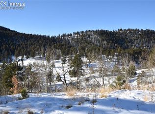 46 Dexter Cir, Cripple Creek, CO 80813
