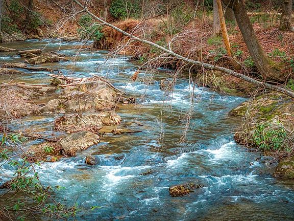 2nd image of 164 Water Dance Trl