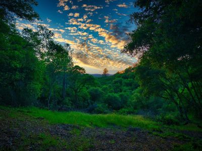 Baldwin Drive, Placerville, CA, 95667