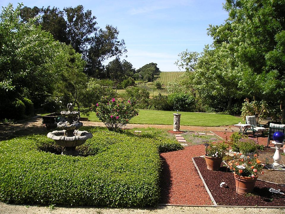 Beautiful vineyard view