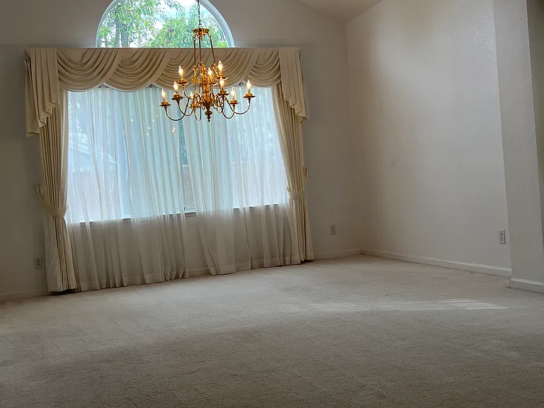 11688 Olive Spring Ct — Photo 19