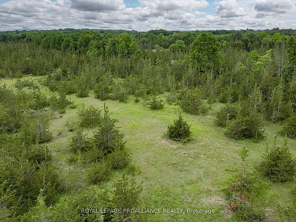 4th image of 89 Power Rd