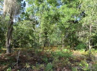 1626 W Skyline Dr, Citrus Springs, FL 34434