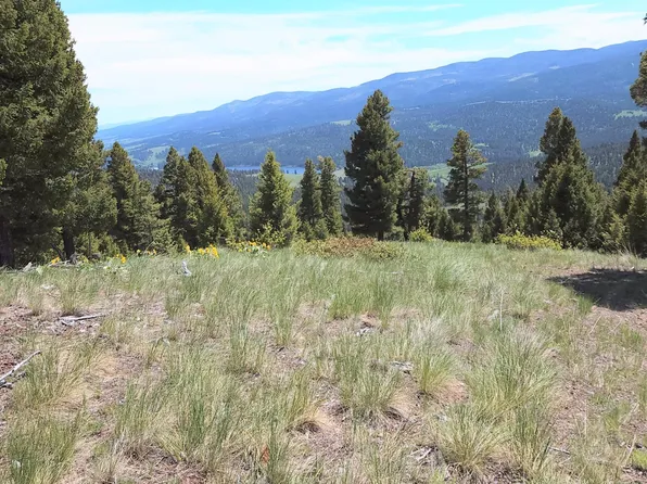 12 Tract /, Helmville, MT 59843