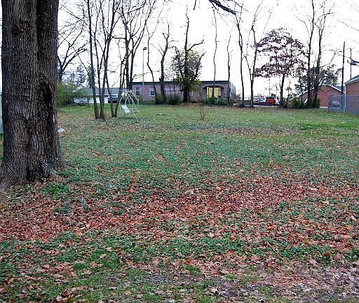 Backyard prior to fence.