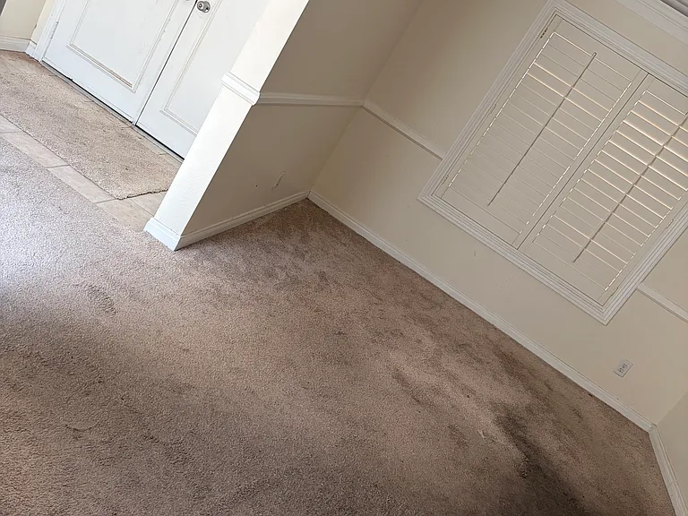 2438 El Paseo Cir #1 — Photo 12