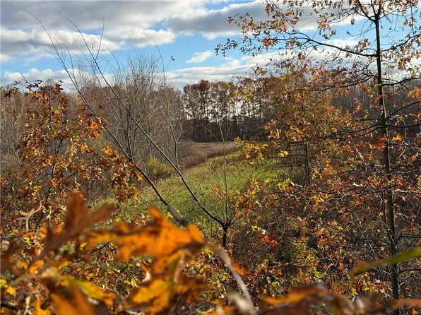 0 Borowicz Rd, New Wilmington, PA 16142