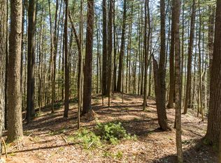 LOT 658 Satsuma Ct, Ellijay, GA 30540
