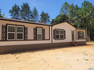 1365 Davidson Rd, Diana, TX 75640