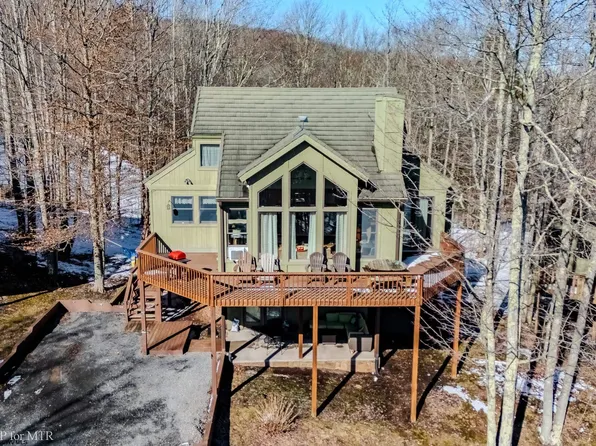 117 Treetop Ln, Davis, WV 26260