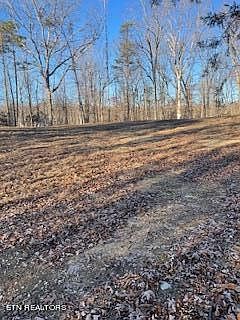 2nd image of 445 Scenic Lakeview Dr
