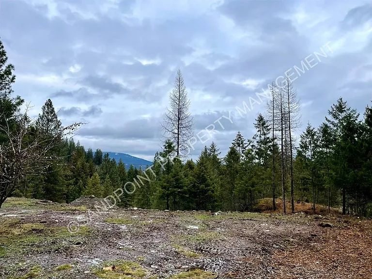 4174 Cow Creek Rd — Photo 6