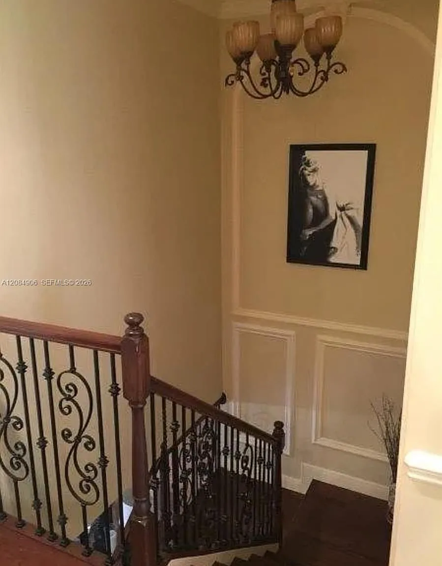 Bella Vita — Photo 1