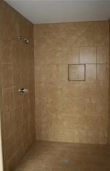 Master Bathroom Shower