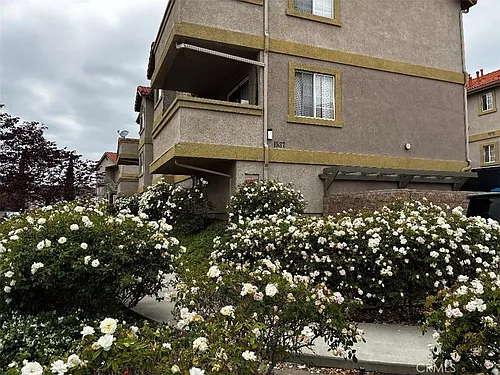 1537 Spruce #A Photo 1