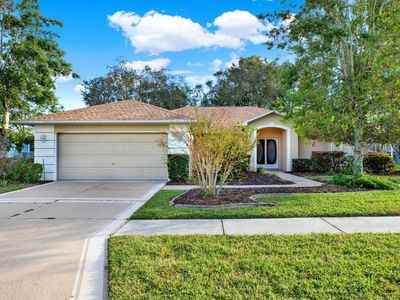 10268 Velvetseed Cir, Spring Hill, FL, 34608