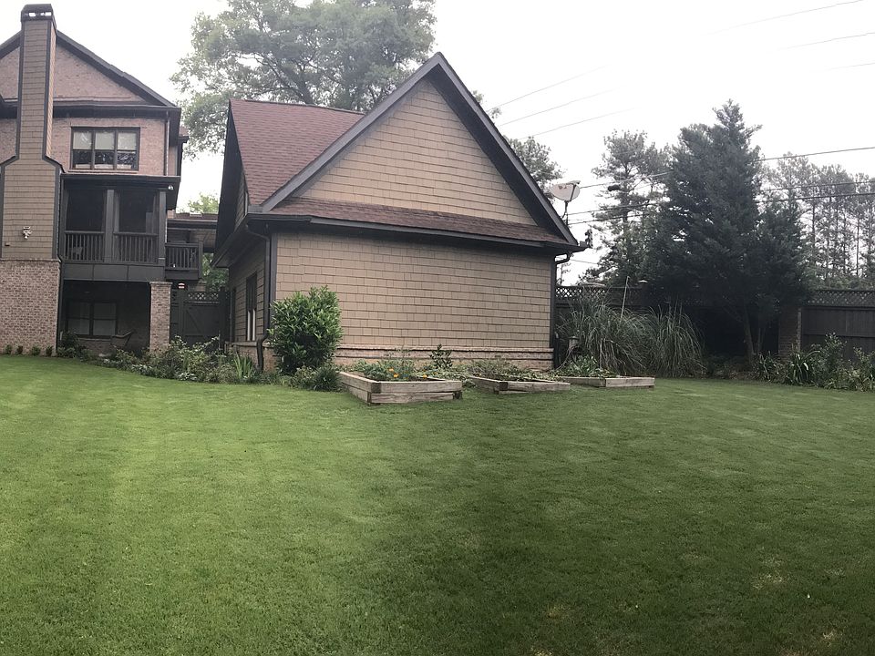 Back yard