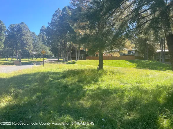 101 Bogie Ln, Ruidoso, NM 88345