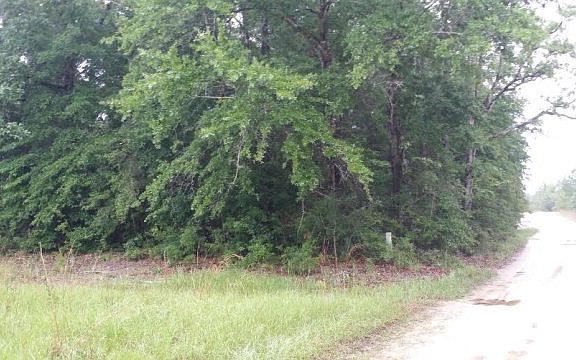 3rd image of 4826 Chapel Branch Ct